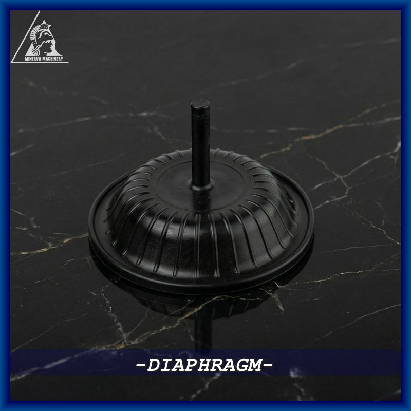 DIAPHRAGM